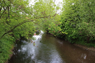 die Ilme in Hullersen, Blick flussaufwärts …