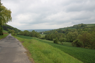 Nordrand des Ellenser Waldes, Blick auf Solling und Bierberg