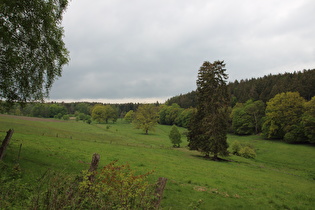 die Seutebornwiese mit der Bremke