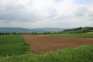 zwischen Hohe Eiche und Holzminden, Blick zum Köterberg