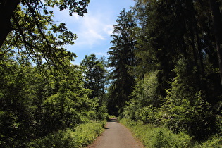 Anstieg von Barsinghausen, unterer Bereich, Blick bergauf