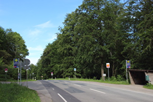 Nienstedter Pass, Passhöhe, Blick nach Nordosten