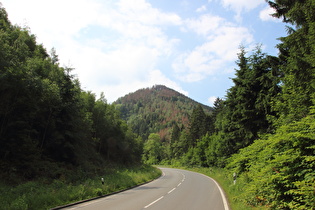 südlich von Oker, Blick nach Süden