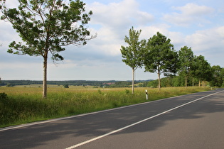 etwas weiter, Blick über Elbingerrode nach Norden