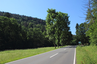 zwischen WR-Hasserode und Drei Annen Hohne, auf 300 m ü.NHN