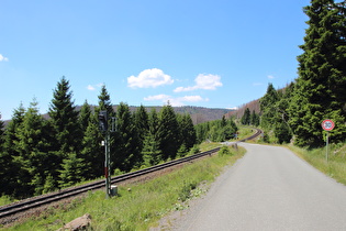 auf knapp 800 m ü.NHN wenigstens etwas lebender Wald …