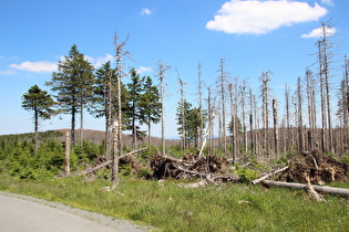 Brockenbett, Blick nach Südosten