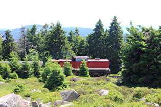 eine Diesellok auf der Brockenbahn, eher selten zu sehen