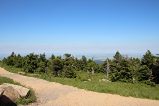 montane Baumgrenze, Blick nach Nordosten