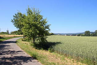 zwischen Eichholz und Bergheim, Blick über Bergheim zur Egge