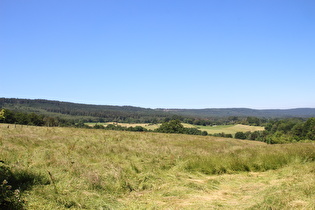 zwischen Langeland und Passhöhe der L755, Blick zum Eggehauptkamm …