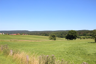 zwischen Altenbeken und Buke, Blick zum Eggehauptkamm