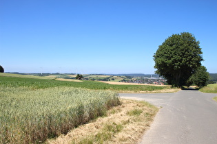 Sattelpunkt zwischen Schwaney und Herbram, Blick auf Schwaney, …