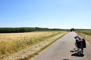 … und Blick nach Süden