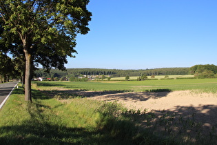 Anstieg zwischen Blankenrode und Meerhof, Blick auf Blankenrode