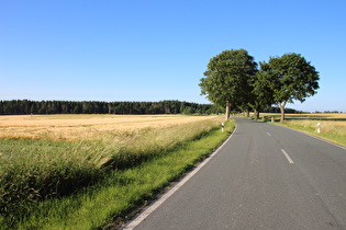 … Blick nach Nordosten zum Nonnenbusch, …