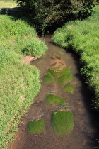 die Orpe, Blick von der Brücke flussabwärts …