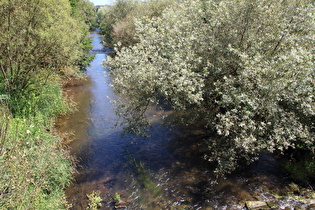 die Diemel in Wrexen, Blick flussabwärts …