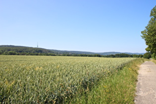 zwischen Borlinghausen und Willebadessen, Blick zum Eggehauptkamm