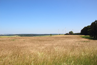 Sattelpunkt zwischen Willebadessen und Altenheerse, Blick nach Osten …