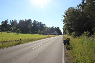 K18 von Bad Driburg über die Egge, Passhöhe; Blick nach Westen, …