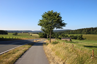 zwischen Buke und Altenbeken, Blick über Altenbeken zum Eggehauptkamm