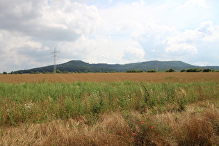 zwischen Hameln und Hastenbeck, Blick über den Schecken zum Ith