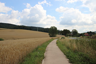 zwischen Hastenbeck und Vorembeck, Blick auf Vorembeck