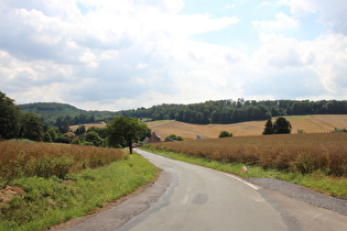 etwas weiter, Blick auf Völkerhausen