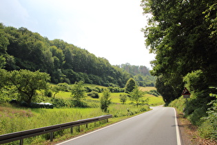 L580 zwischen Rühle und Passhöhe, zweite Kehre