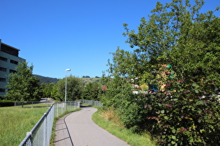 in Obernau, Blick nach Westen …