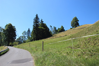 die erste Kehre der Tour voraus