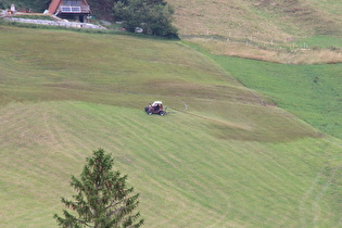 Zoom auf den Verursacher des Gestanks dort an dem Tag