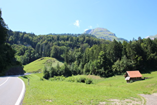 Nordrampe des Brünigpasses zwischen Lungern und Passhöhe, Blick nach Süden zum Wilerhorn