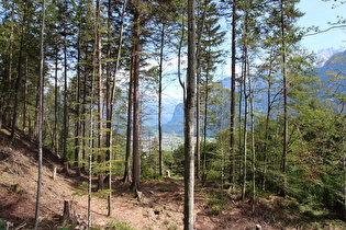 weiter unten, Blick ins Haslital mit Meiringen und Schattenhalb