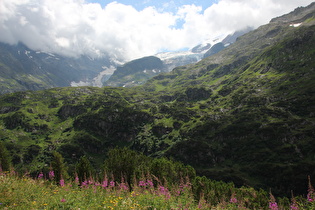 zwischen Steingletscher (BE) und Passhöhe, Blick zum Steingletscher …