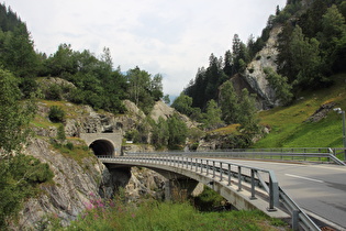 oberes Ende der Medelserschlucht mit Brücke über den Medelser Rhein …