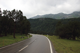 Alpe Casaccia, Blick talabwärts auf die Talstufe, …