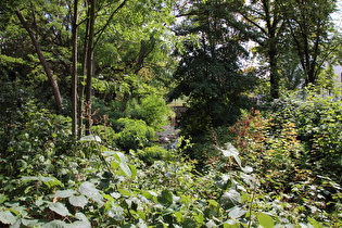 die Fösse in Hannover-Limmer, Blick flussaufwärts