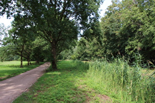 Radweg am Flussgraben, Blick nach Norden