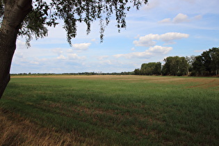 zwischen Wietzesee und Hainhaus, Blick nach Nordosten