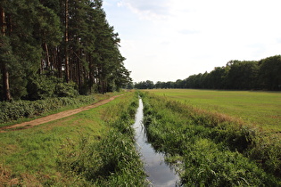 die Wietze zwischen Hainhaus und Waldkater, Blick flussaufwärts …