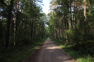 zwischen Waldkater und Fuhrberg – mitten im Nichts