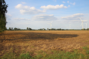 weiter nördlich, Blick naach Norden Richtung Fuhrberg