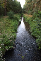 die Wietze zwischen Fuhrberg und Meitze, Blick flussabwärts …