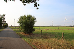 am Südrand von Meitze, Blick nach Norden …