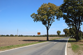 Elze, östlicher Ortsrand, Blick zum Forst Rundshorn