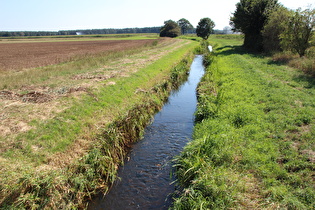 die Wietze zwischen Forst Rundshorn und Wieckenberg, Blick flussaufwärts …