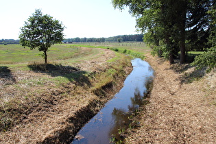 die Wietze am Südrand von Wieckenberg, Blick flussaufwärts, …