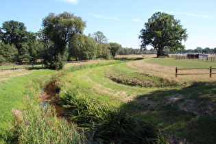 … und Blick flussabwärts